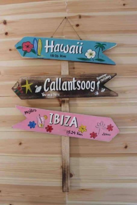 Knus Vakantiehuis 100M Van Het Strand Callantsoog Luaran gambar